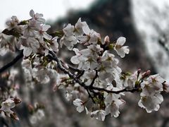 -武汉大学风雨操场