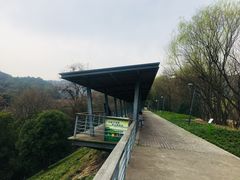 -西湖风景区-江洋畈生态公园