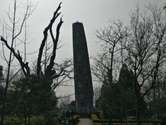 -上海佘山国家森林公园天马山园