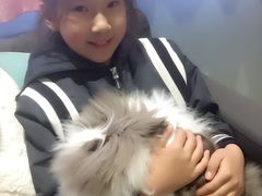 -藦茜花园宠物主题亲子互动体验馆(国顺东路店)