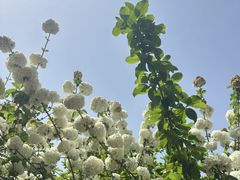 -天鹅湖体育公园