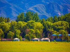 -野鸭湖国家湿地公园