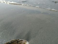 -滑记海鲜饭店·老字号(海鲜街店)
