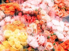 -循礼门鲜花花市(武汉循礼门店)