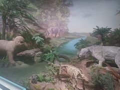 -湖南省地质博物馆