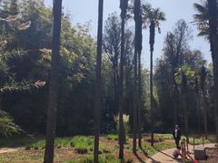 -昆明植物园