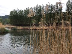 -白河湾生态旅游一条川
