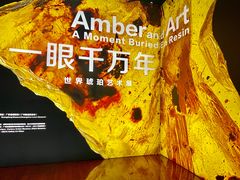 -广东省博物馆