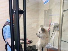 -安安宠医·安宠宠物医院