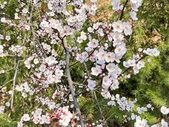 -钟山体育运动公园