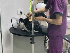 -宠颐生动物医院·小陆分院