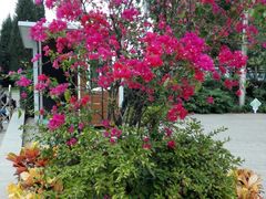 -廊坊文化艺术中心