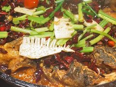 -老板恋上鱼(高新万达店)