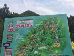 -梦幻奥陶纪景区