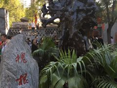 -大槐树寻根祭祖园