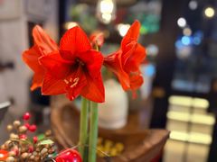 -十面欢腾(长乐路店)