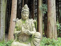 -武陵山森林公园