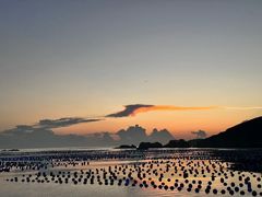 -枸杞岛
