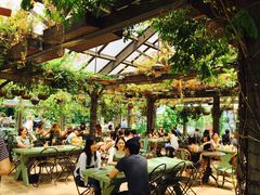 -The Grounds of Alexandria