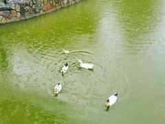 -西安市长乐公园