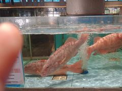 -阿伟海鲜楼·福建菜(延寿店)