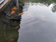 -杭州植物园