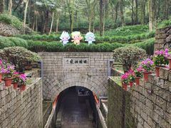 -瑶琳仙境
