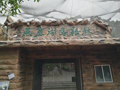 -燕塞湖鸟语林景区