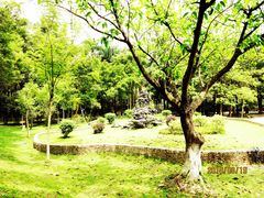 -滴水岩森林公园