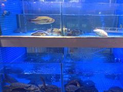 -王捌小院(红花坡店)