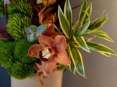 -花到家(富贵鸟花艺行)