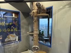 -莱姆星桌游·拼豆·团建