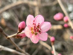 -颐和园