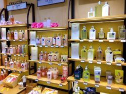 -L'OCCITANE欧舒丹
