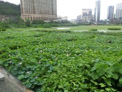 -龙环葡韵住宅式博物馆