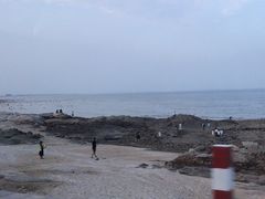 -日照海滨国家森林公园