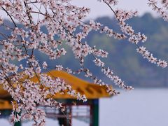 -颐和园
