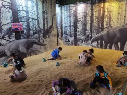 -恐龙探索乐园(磁器口店)