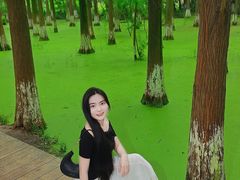 -艾溪湖湿地公园