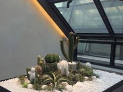 -大树餐厅(红旗街万达店)