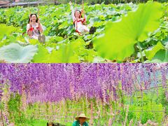 -英西峰林·洞天仙境