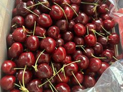 -常熟理文铂尔曼酒店