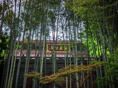 -灵隐飞来峰景区