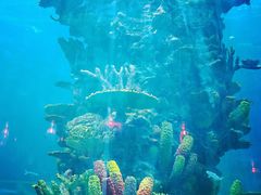 -青岛嘉年华主题乐园