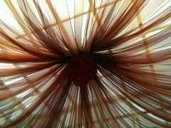 -金玫瑰商务会馆(新孔南路店)