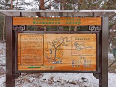 -帽儿山国家森林公园