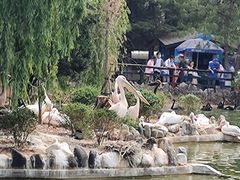 -云南野生动物园