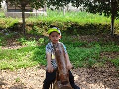 -武汉紫薇都市田园