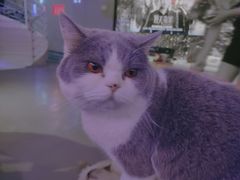 -极木²邸 人与宠物·互动社区