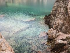 -树山生态村